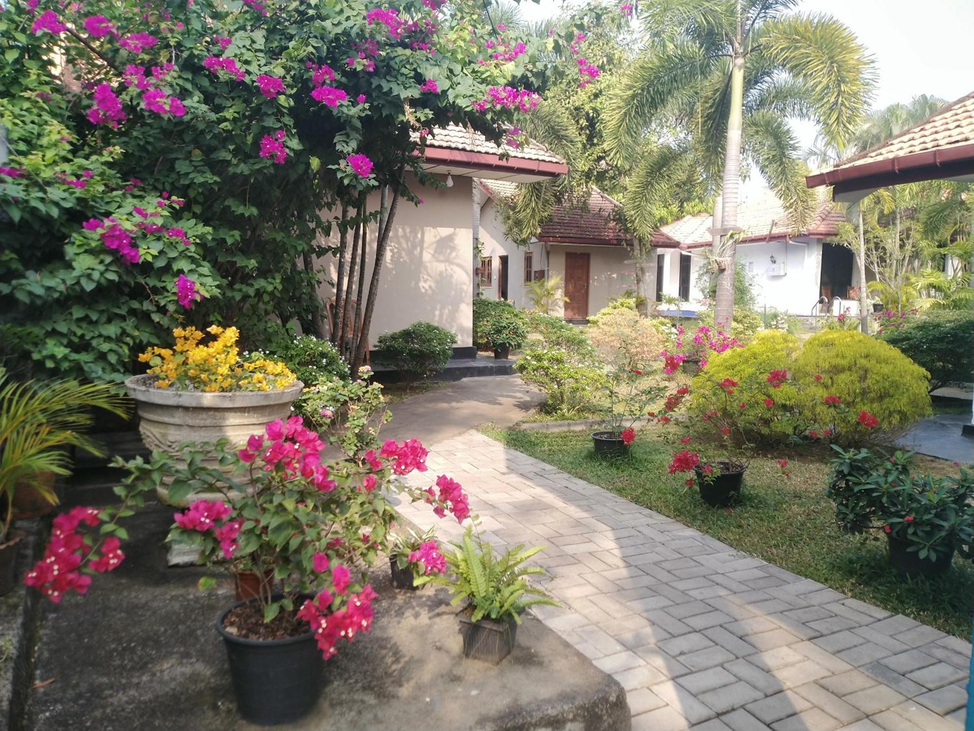 Blue Bell Hotel Negombo Extérieur photo