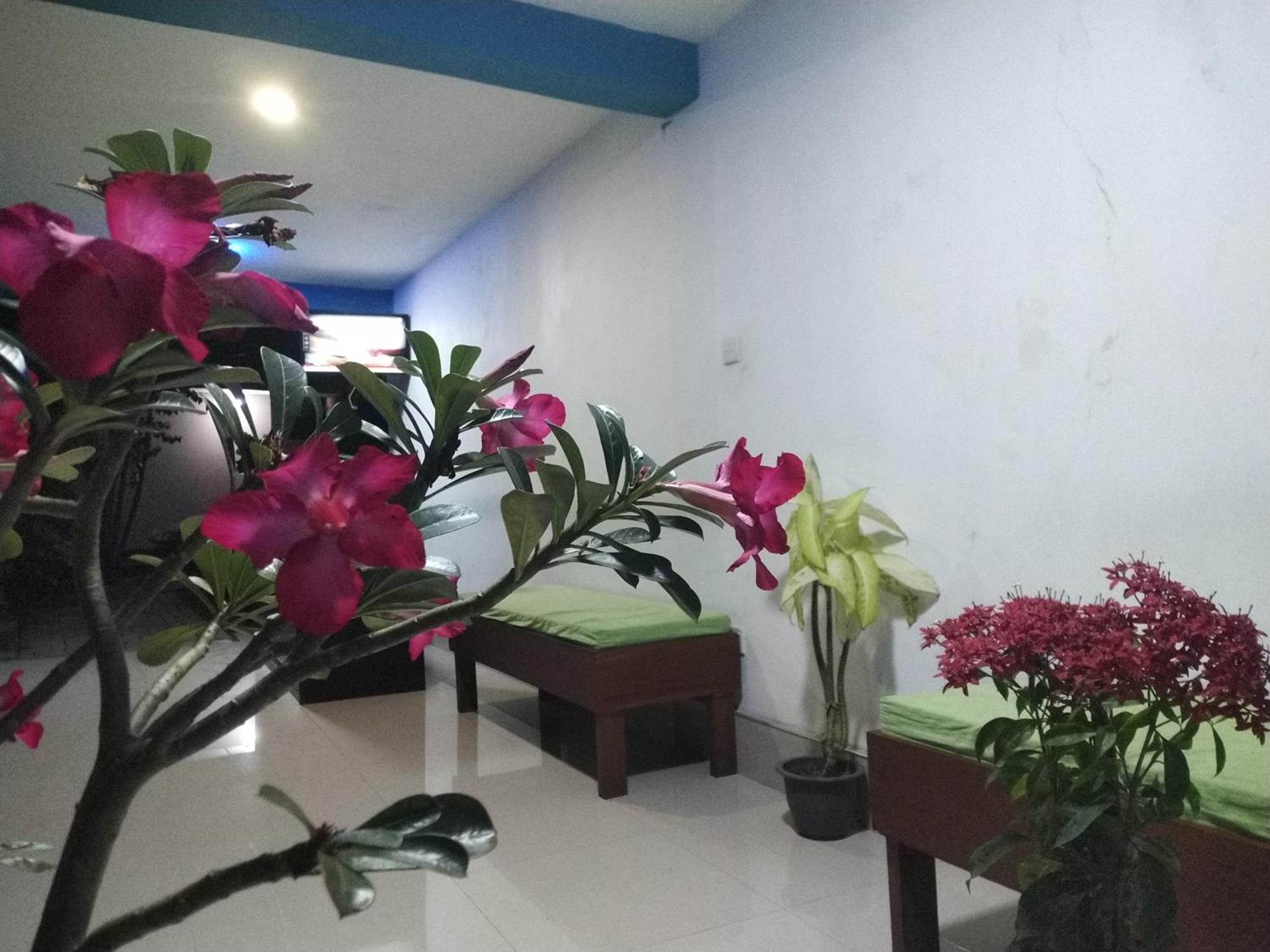 Blue Bell Hotel Negombo Extérieur photo
