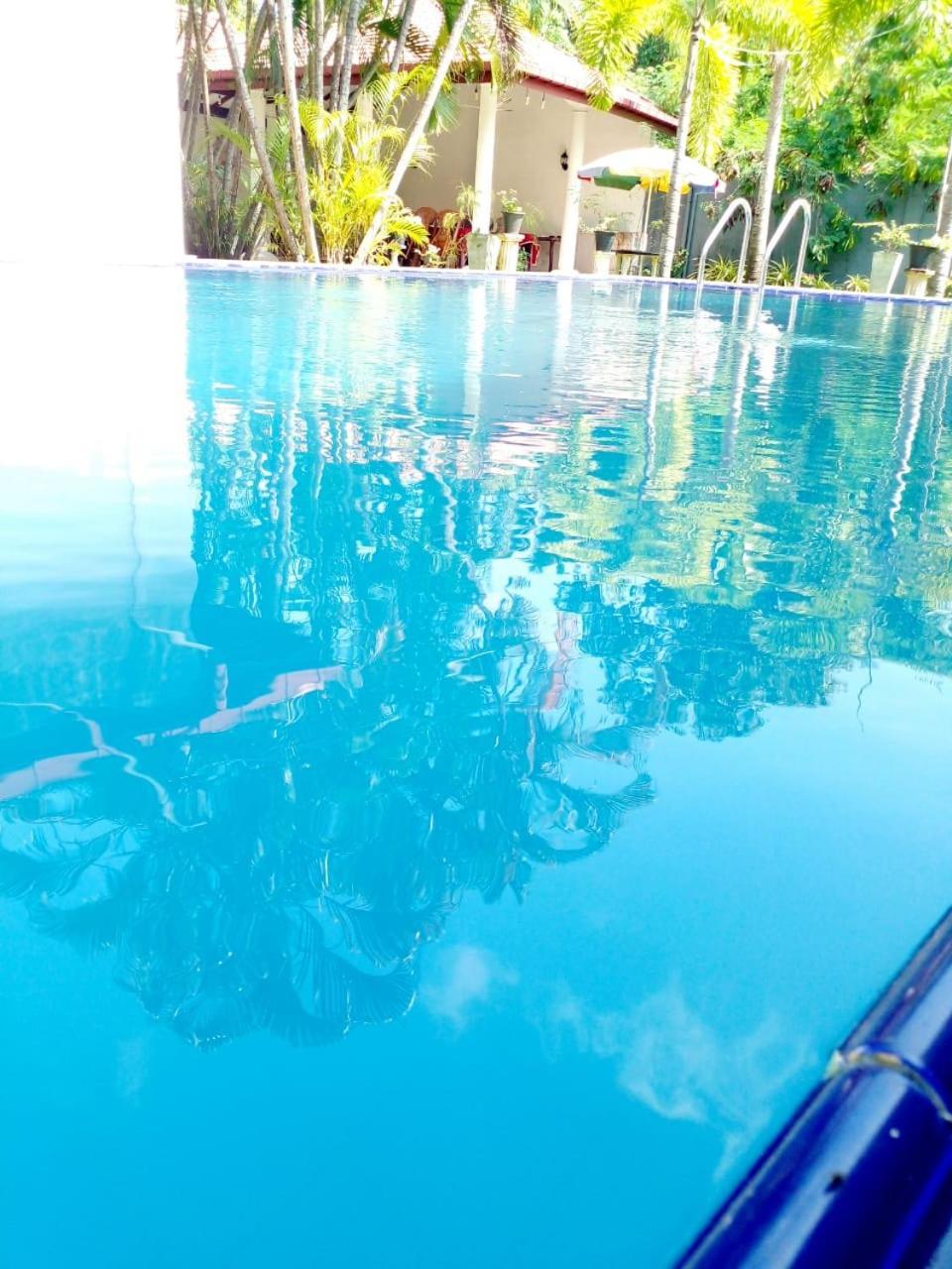 Blue Bell Hotel Negombo Extérieur photo